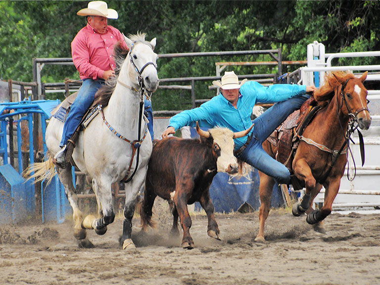 Leap to bull